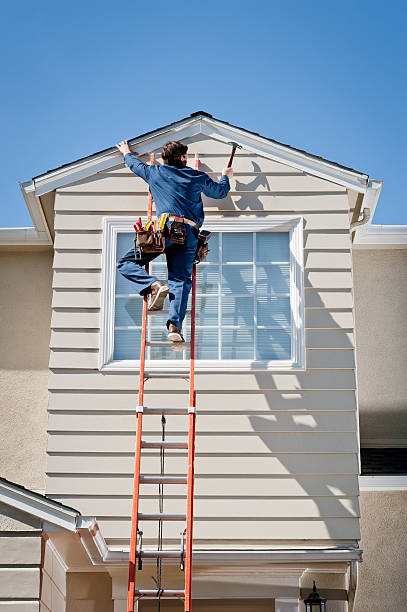 Best Shed Removal  in Orlando, FL